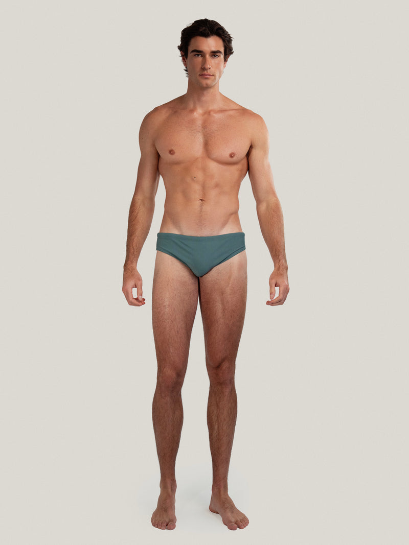 Ribbed Dune Brief Cacti