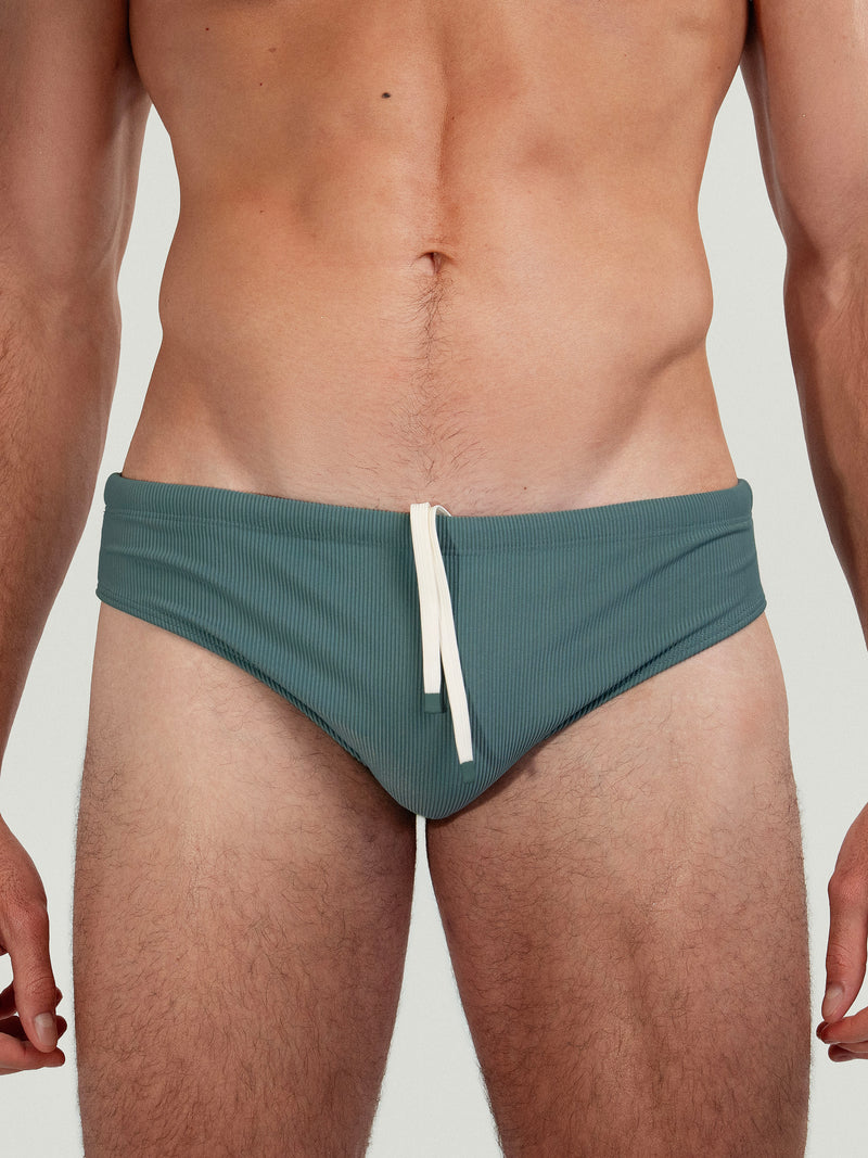 Ribbed Dune Brief Cacti