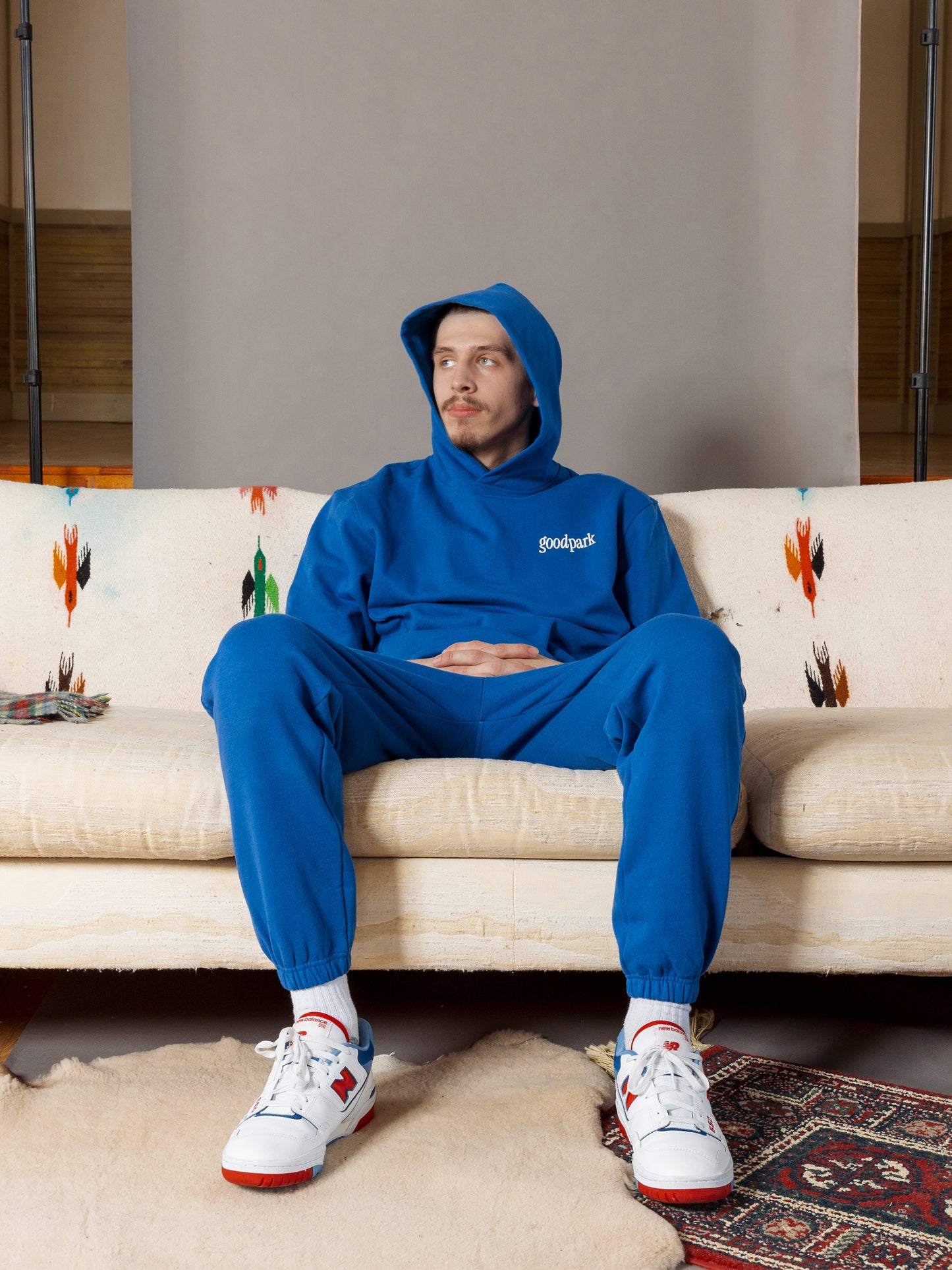 We've Never Met Heavyweight Hoodie in Cobalt