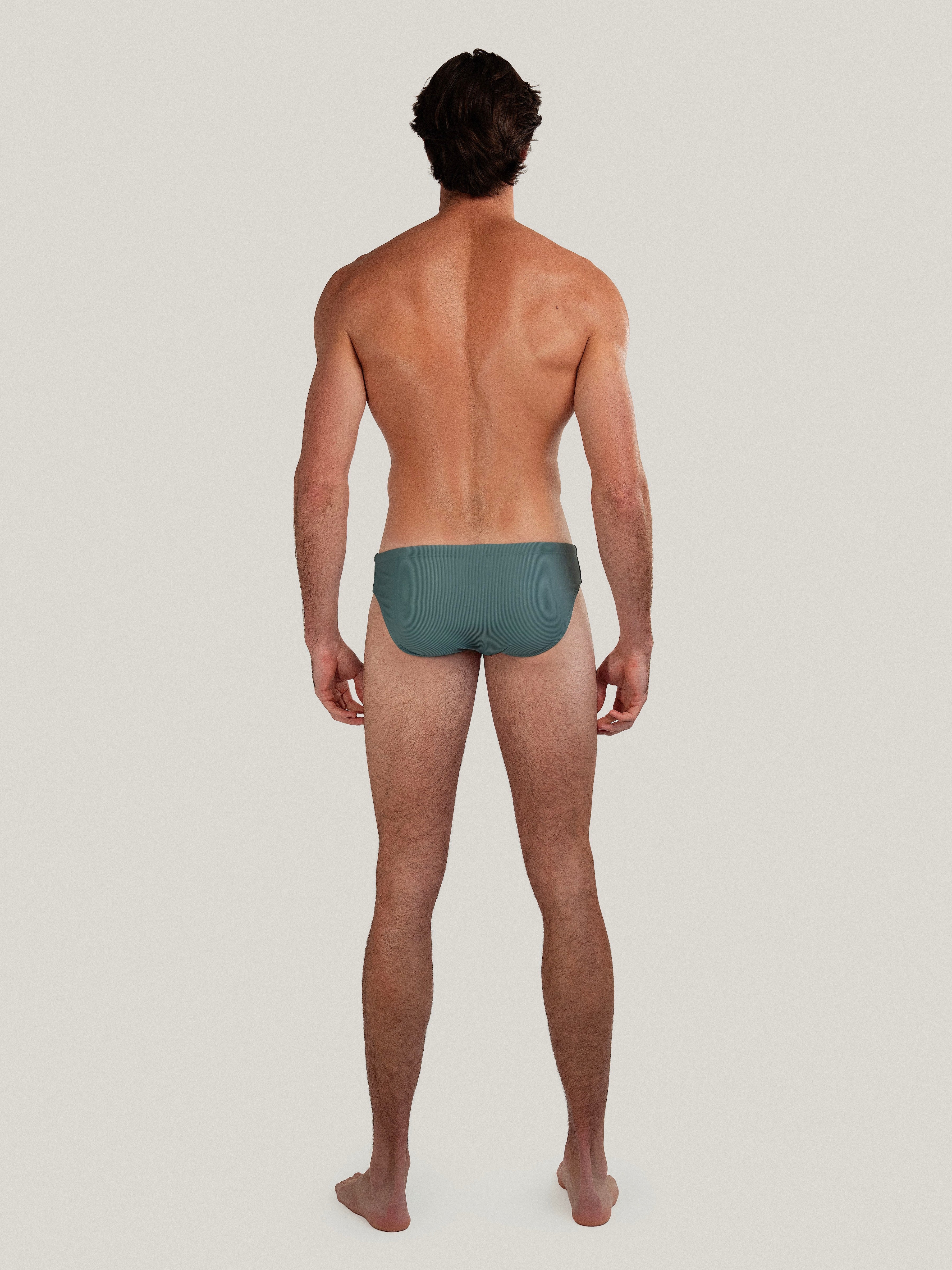 Ribbed Dune Brief Cacti