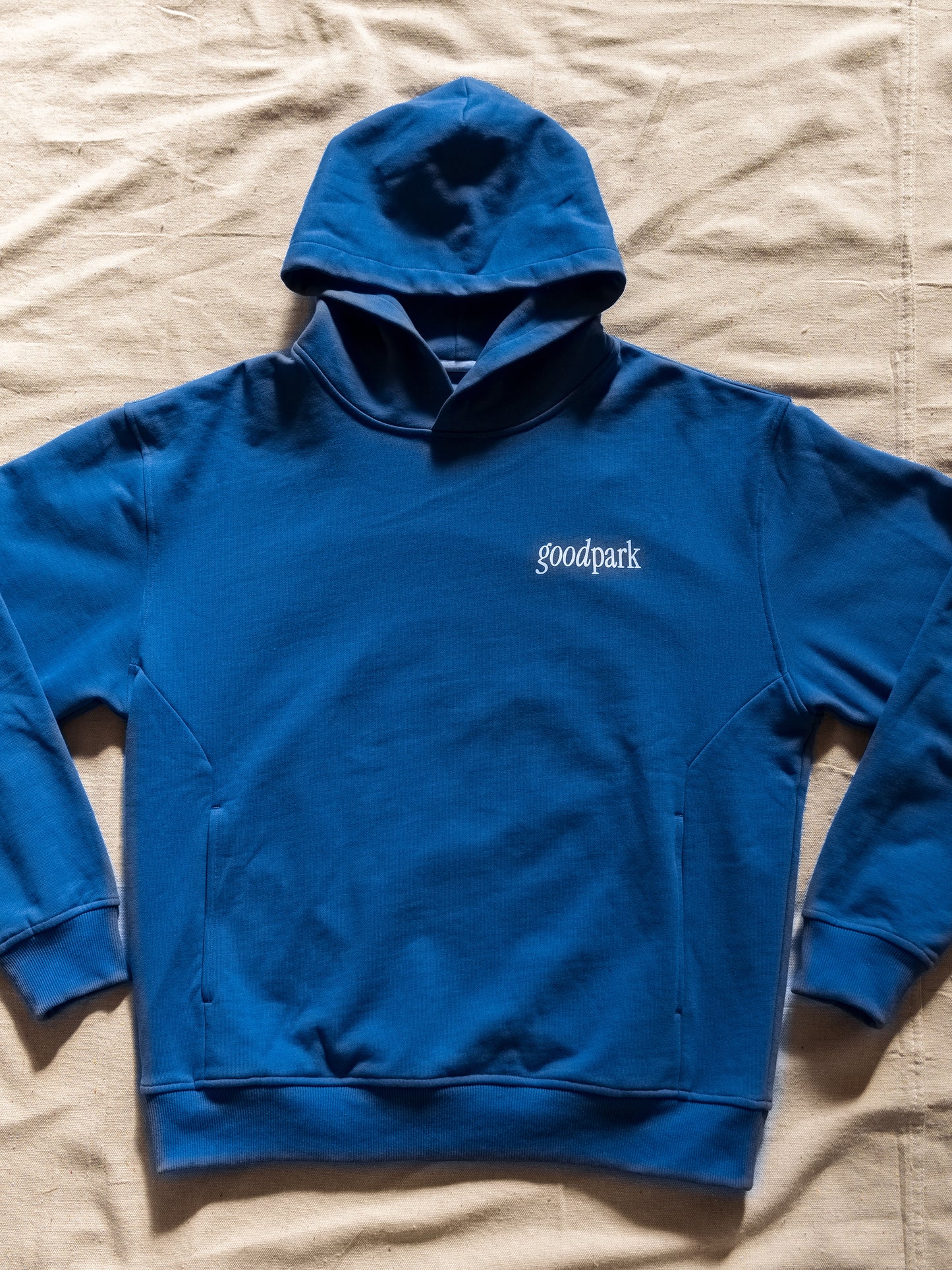 We've Never Met Heavyweight Hoodie in Cobalt